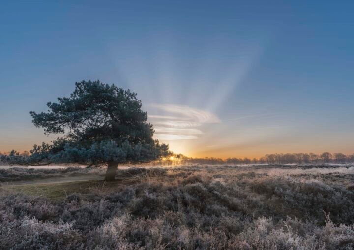 Een mooie ochtend in de Gasterse Duinen