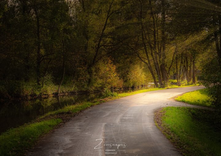 Herfstkleuren aan het Paterswoldse Meer - Landschapsfotografie in de herfst